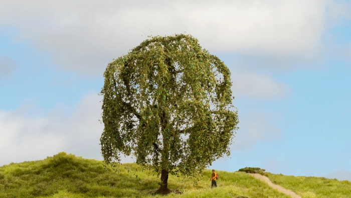 Baum Trauerweide 15cm hoch