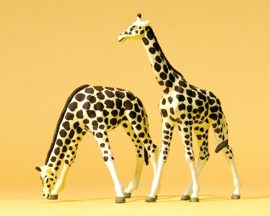 1:87  Giraffen