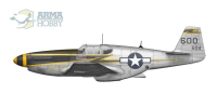 1/72 F-6 C Mustang Expert