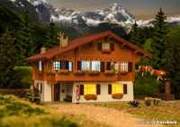 H0 Chalet in Brienz