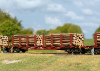 H0 Rungenwagen-Set Holztransport