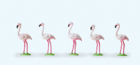 1:87  Flamingos