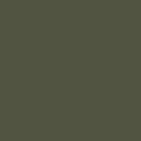 AII Zashchitnyi Camouflage Green, 17 ml