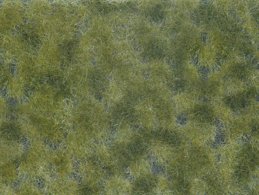 0 Bodendecker-Foliage mittelgr&#252;n 12 x 18 cm